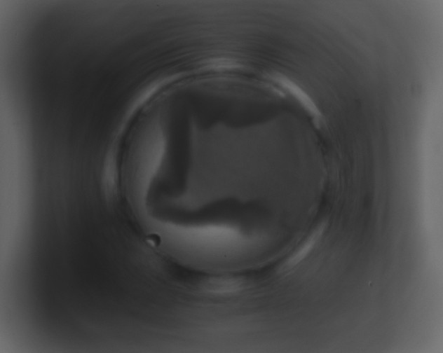 X0000101411023200807071250