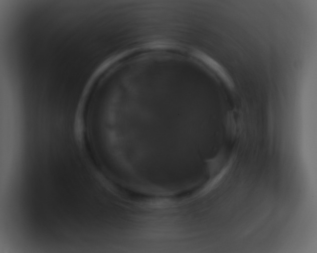 X0000101411024200807071250