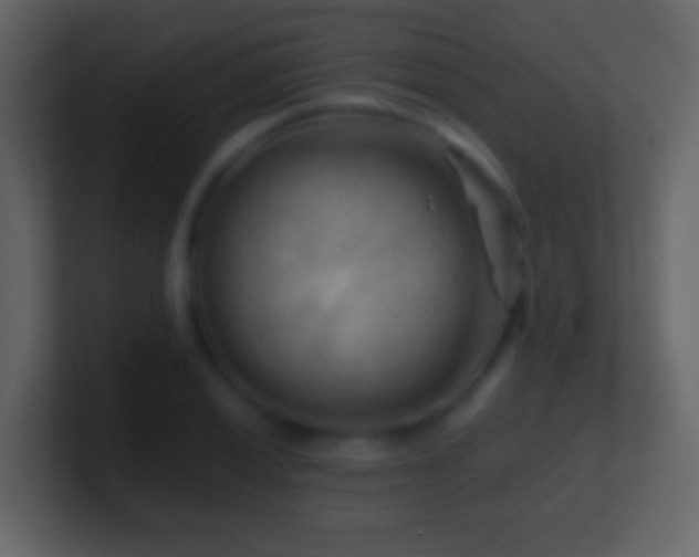 X0000101411028200807071250