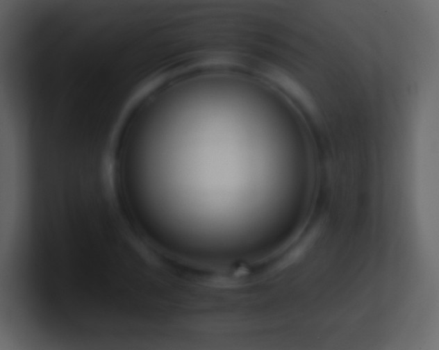 X0000101411029200807071250