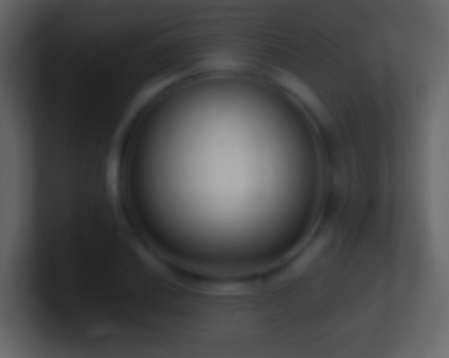 X0000101411030200807071250