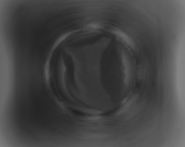 X0000101411031200807071250