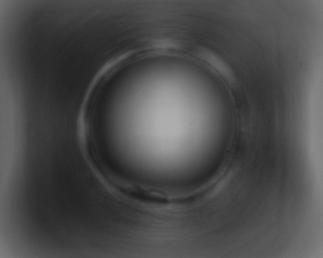 X0000101411032200807071250