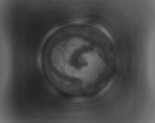 X0000101411035200807071250