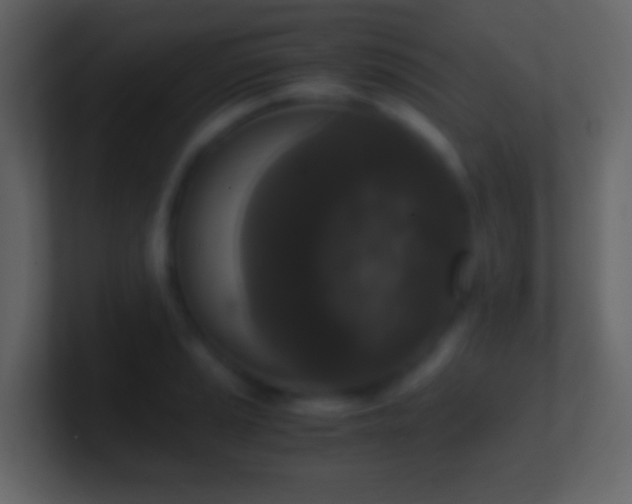 X0000101411037200807071250