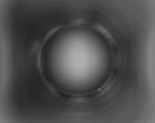 X0000101411039200807071250