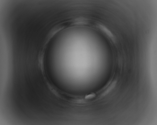 X0000101411041200807071251