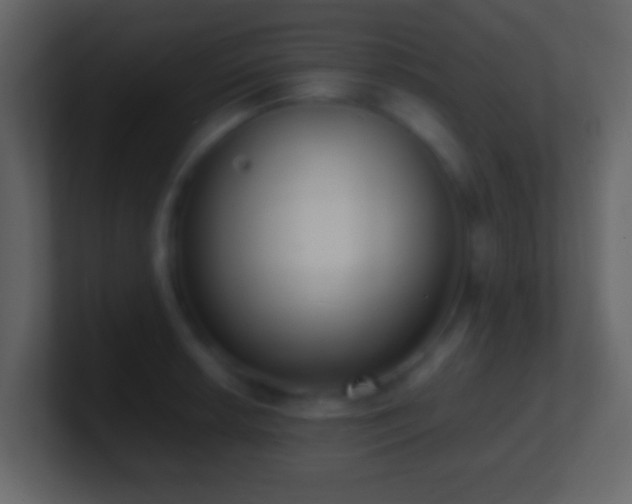 X0000101411042200807071251