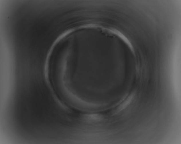 X0000101411045200807071251