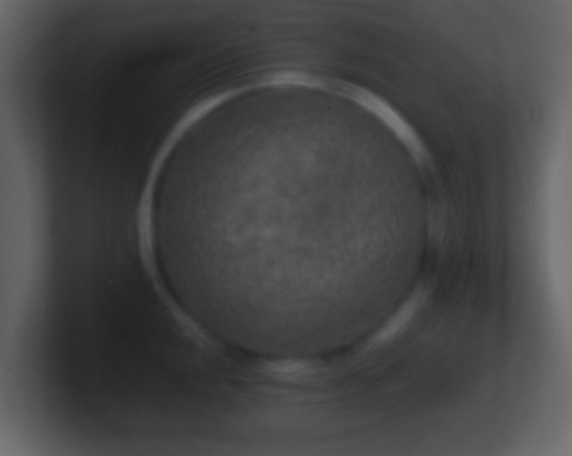 X0000101411048200807071251