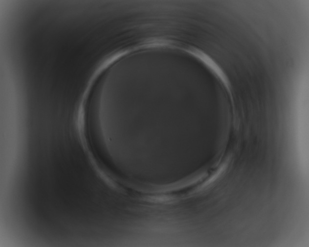 X0000101411053200807071251
