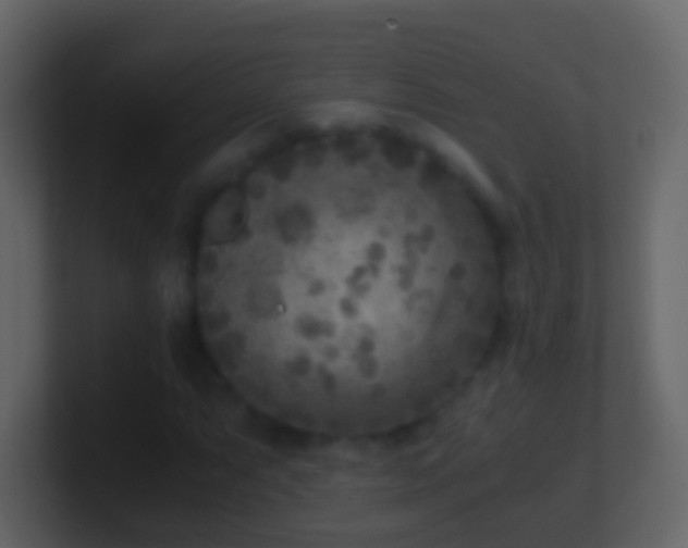 X0000101411063200807071250