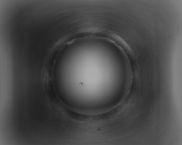 X0000101411064200807071250