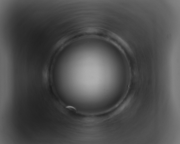 X0000101411065200807071250