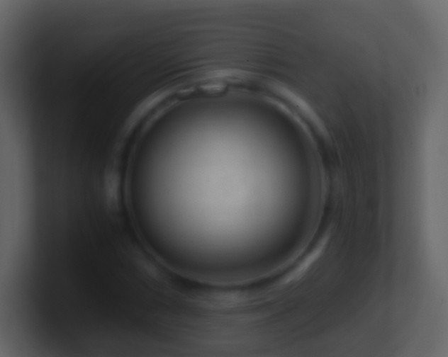 X0000101411066200807071250