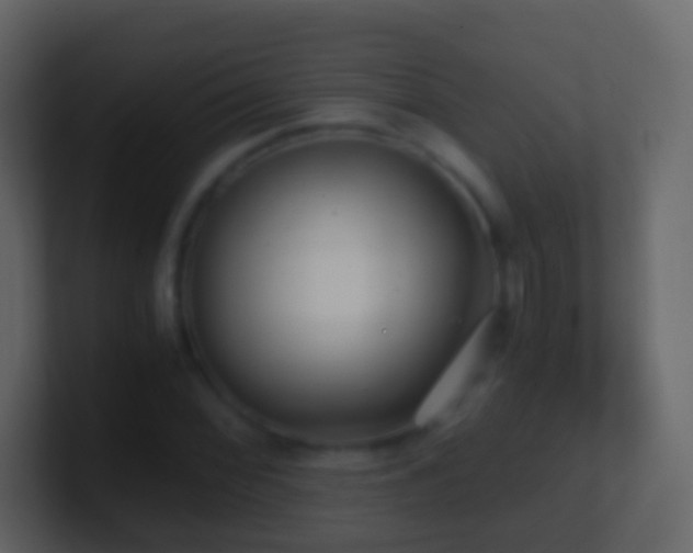 X0000101411068200807071250