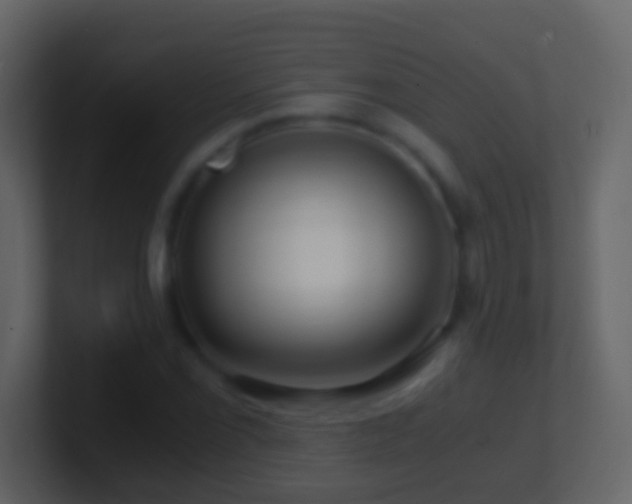 X0000101411069200807071250