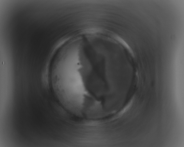X0000101411071200807071250