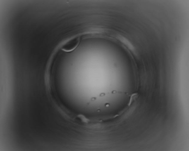 X0000101411072200807071250