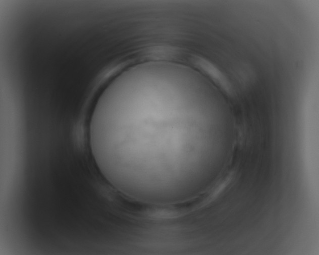 X0000101411074200807071250