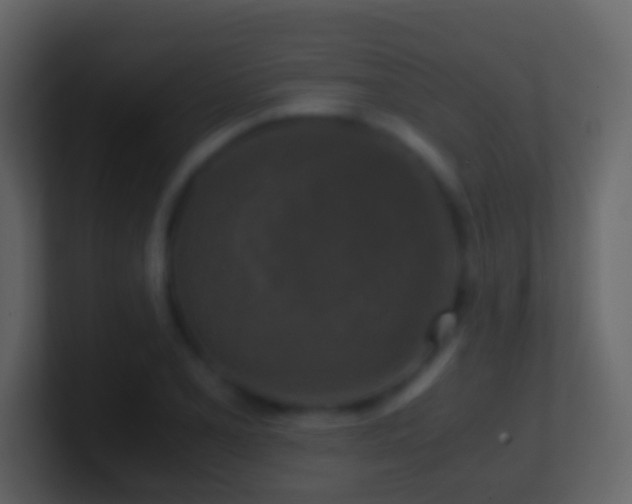 X0000101411077200807071250