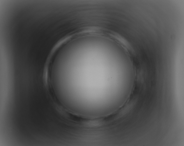 X0000101411078200807071250