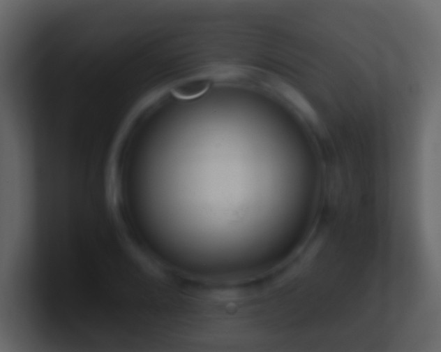X0000101411080200807071250