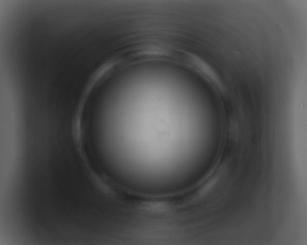 X0000101411082200807071250