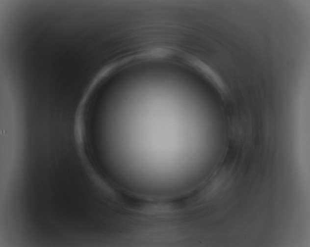 X0000101411083200807071250