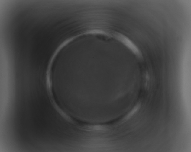 X0000101411084200807071250