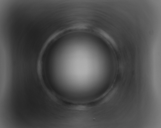 X0000101411085200807071250