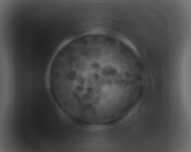 X0000101411087200807071250