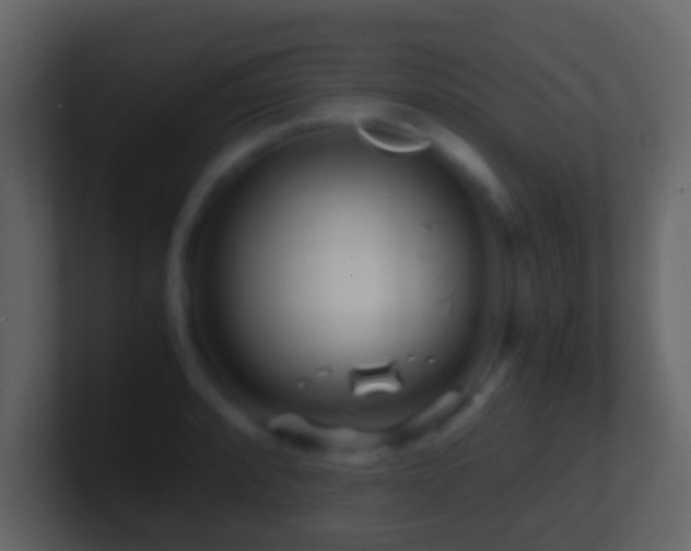 X0000101411088200807071250