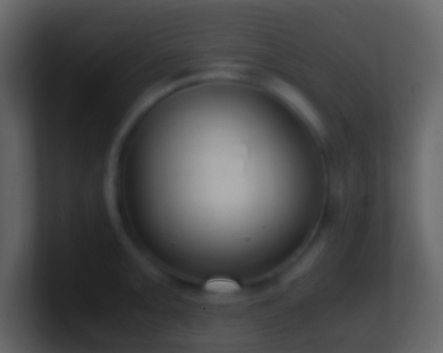 X0000101411093200807071250