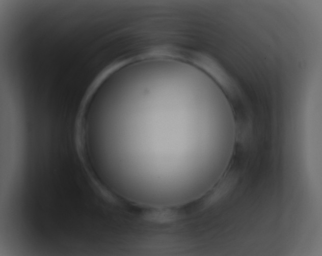 X0000101411094200807071250