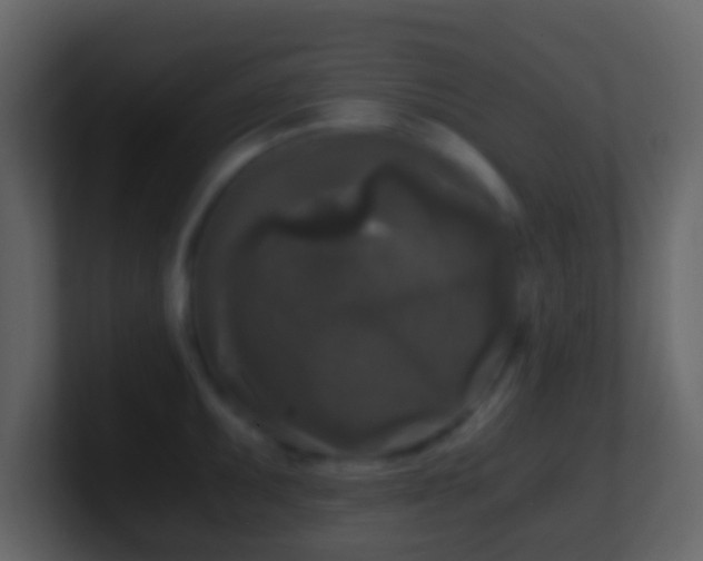X0000101411095200807071250