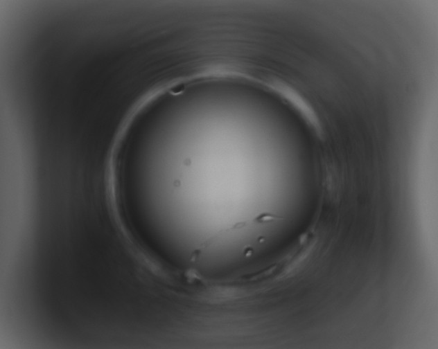 X0000101411096200807071250