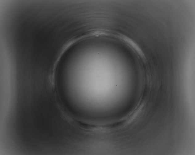 X0000101411097200807071250