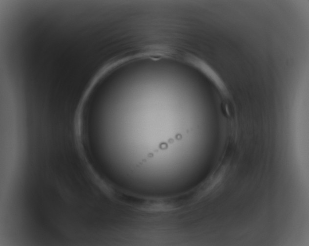 X0000101411099200807071250