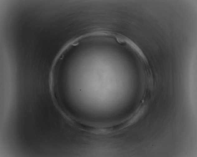 X0000101411101200807071249