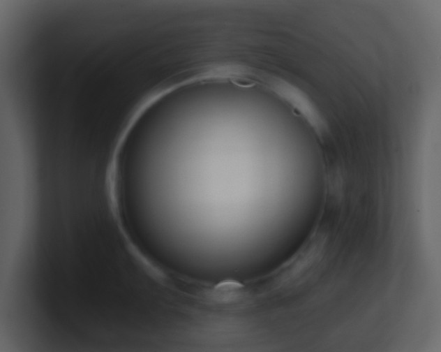 X0000101411103200807071249
