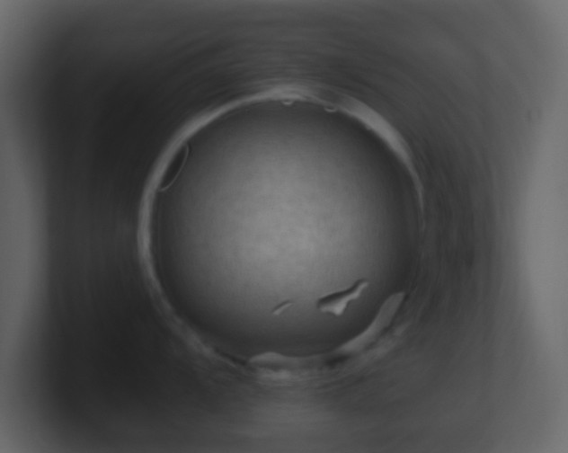 X0000101411104200807071249