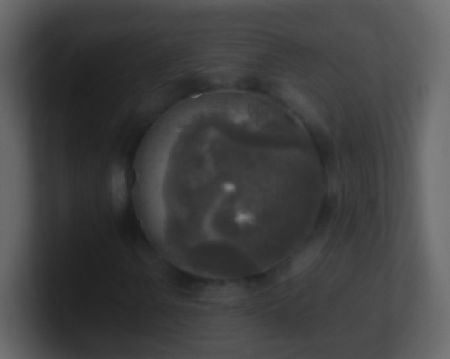 X0000101411106200807071249