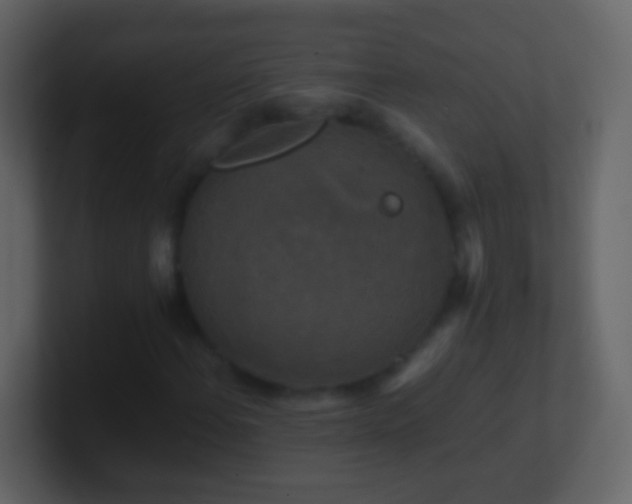 X0000101411108200807071249