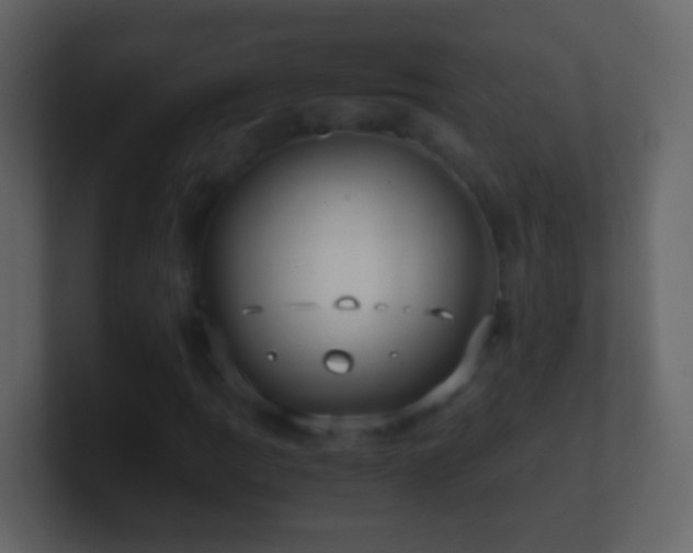 X0000101411109200807071249