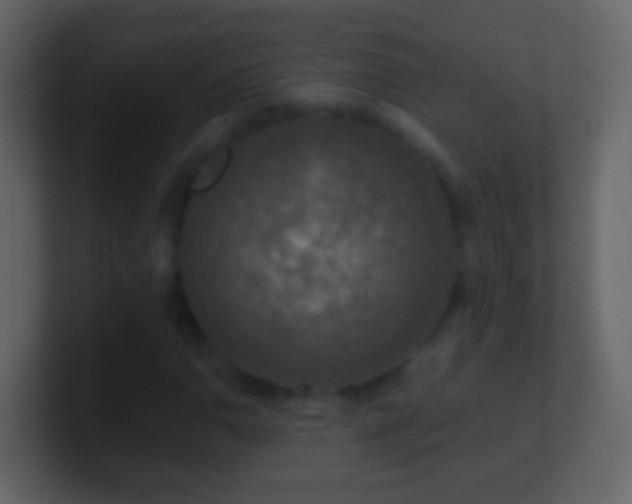 X0000101411110200807071249
