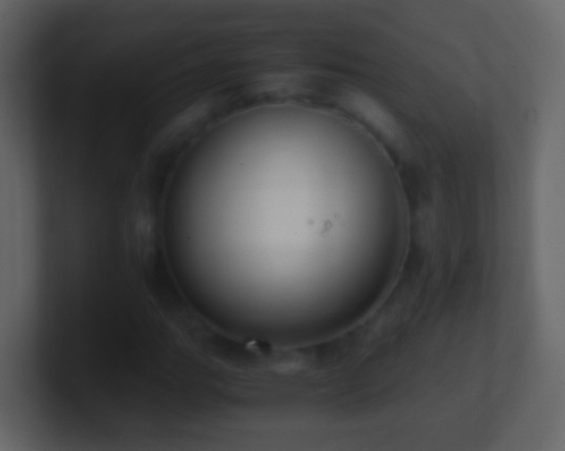 X0000101411111200807071249