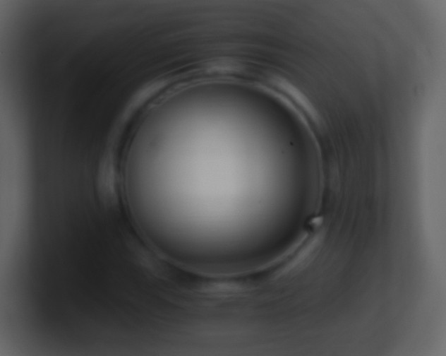X0000101411115200807071249