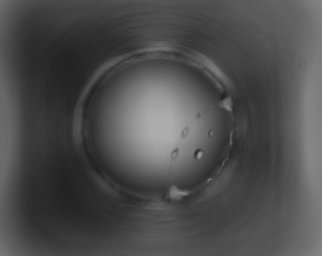 X0000101411116200807071249
