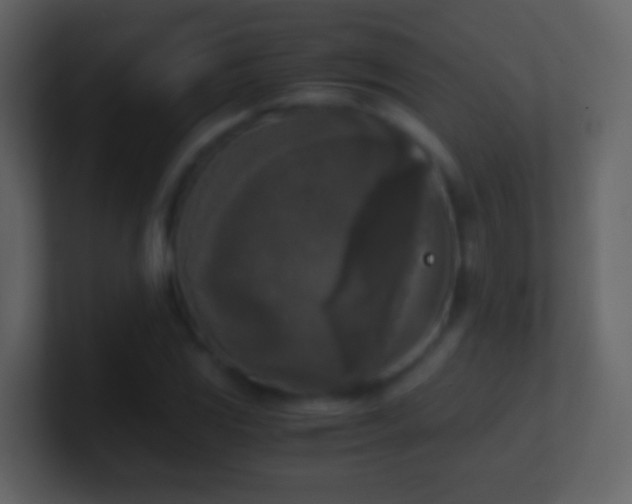 X0000101411117200807071249